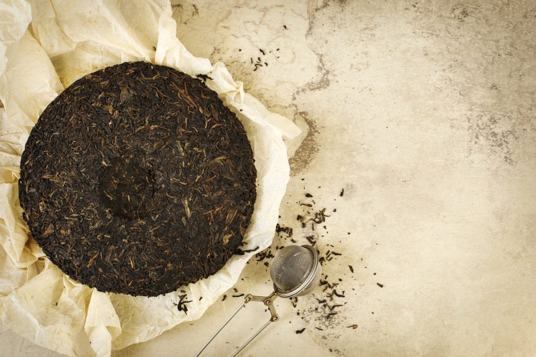 Imagem colorida de planta fermentada para produção do chá Pu erh - Metrópoles 