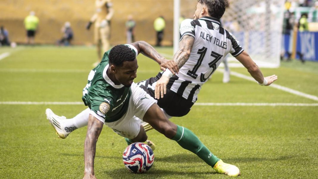 Botafogo e Palmeiras se enfrentaram neste sábado, 28